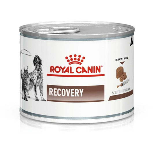 Wet food Royal Canin Recovery Birds Pig 195 g